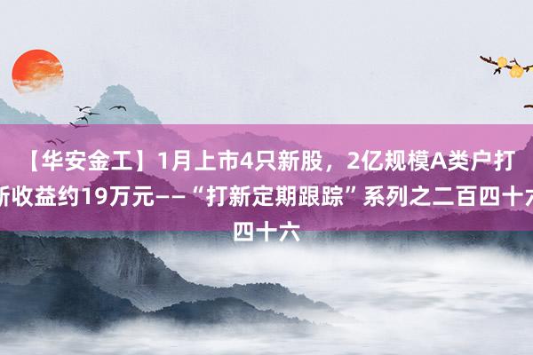 【华安金工】1月上市4只新股，2亿规模A类户打新收益约19万元——“打新定期跟踪”系列之二百四十六