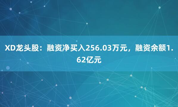 XD龙头股：融资净买入256.03万元，融资余额1.62亿元