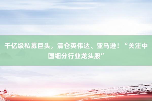 千亿级私募巨头，清仓英伟达、亚马逊！“关注中国细分行业龙头股”