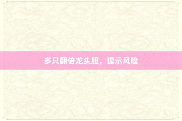 多只翻倍龙头股，提示风险