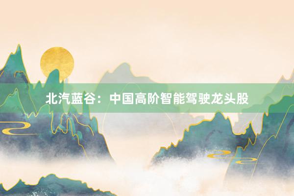 北汽蓝谷：中国高阶智能驾驶龙头股