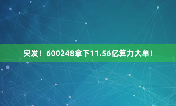 突发！600248拿下11.56亿算力大单！