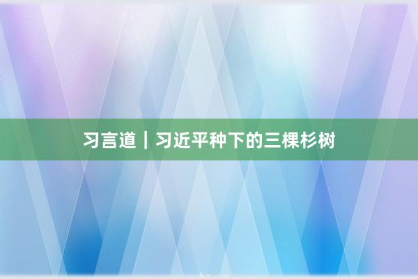 习言道｜习近平种下的三棵杉树