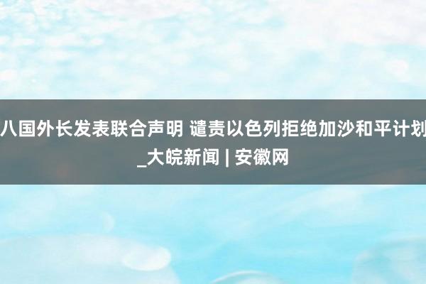 八国外长发表联合声明 谴责以色列拒绝加沙和平计划_大皖新闻 | 安徽网