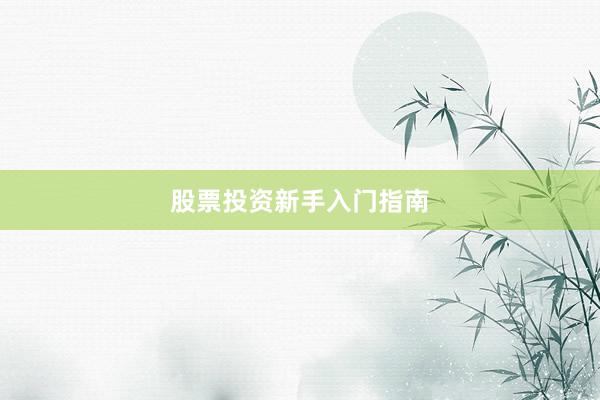 股票投资新手入门指南