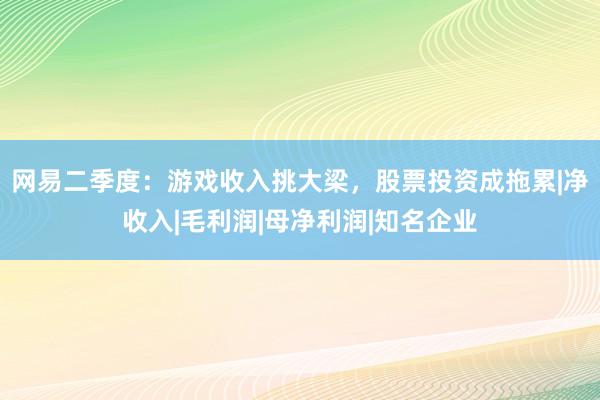 网易二季度：游戏收入挑大梁，股票投资成拖累|净收入|毛利润|母净利润|知名企业