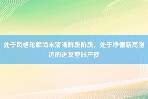 处于风格轮廓尚未清晰阶段阶段，处于净值新高附近的进攻型账户使