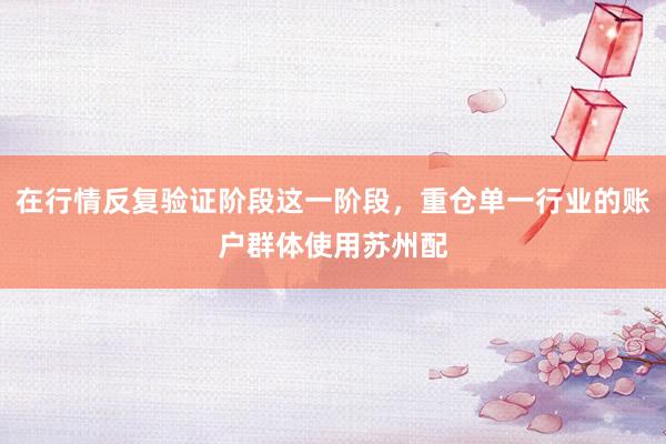 在行情反复验证阶段这一阶段，重仓单一行业的账户群体使用苏州配