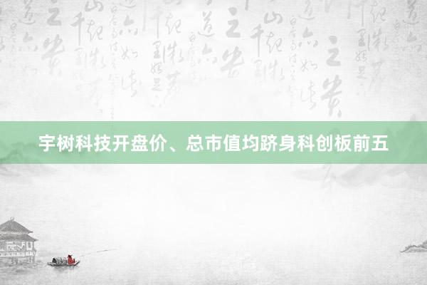 宇树科技开盘价、总市值均跻身科创板前五