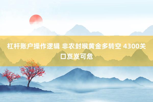 杠杆账户操作逻辑 非农封喉黄金多转空 4300关口岌岌可危