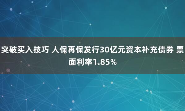 突破买入技巧 人保再保发行30亿元资本补充债券 票面利率1.85%