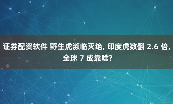 证券配资软件 野生虎濒临灭绝, 印度虎数翻 2.6 倍, 全球 7 成靠啥?