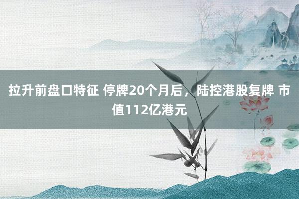 拉升前盘口特征 停牌20个月后，陆控港股复牌 市值112亿港元