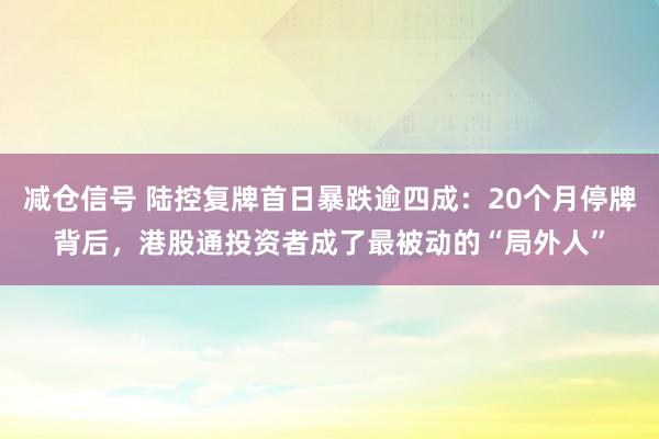 减仓信号 陆控复牌首日暴跌逾四成：20个月停牌背后，港股通投资者成了最被动的“局外人”
