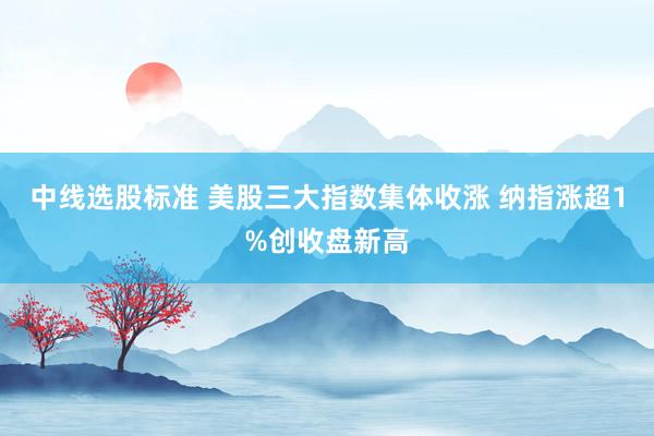 中线选股标准 美股三大指数集体收涨 纳指涨超1%创收盘新高