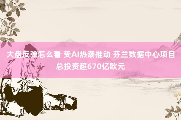 大盘反弹怎么看 受AI热潮推动 芬兰数据中心项目总投资超670亿欧元