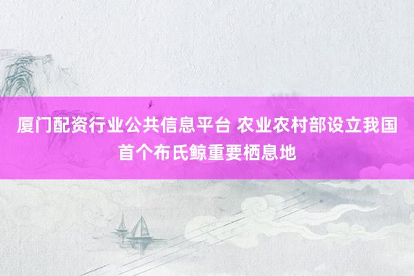 厦门配资行业公共信息平台 农业农村部设立我国首个布氏鲸重要栖息地