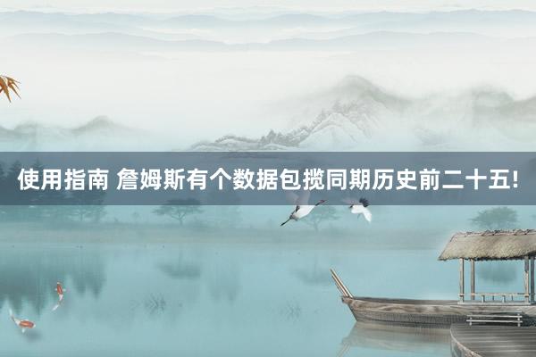 使用指南 詹姆斯有个数据包揽同期历史前二十五!