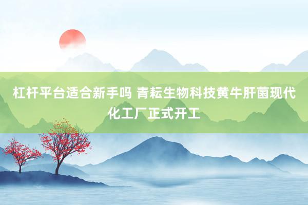 杠杆平台适合新手吗 青耘生物科技黄牛肝菌现代化工厂正式开工