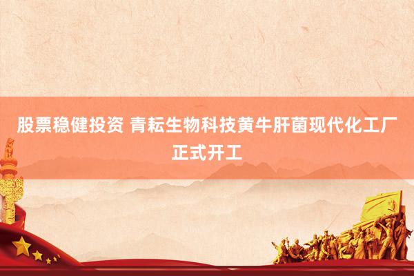 股票稳健投资 青耘生物科技黄牛肝菌现代化工厂正式开工